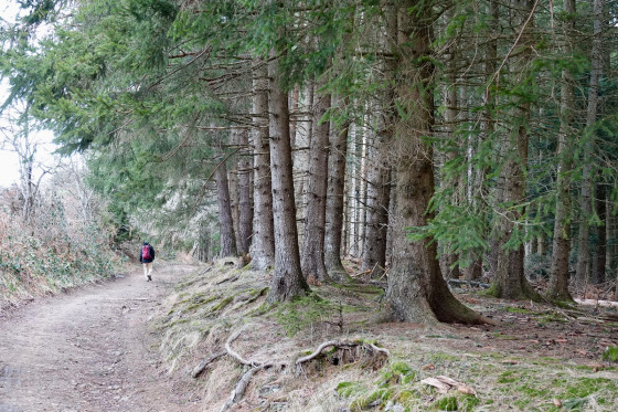 Chemin...