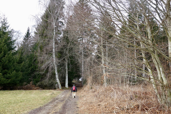 Chemin...