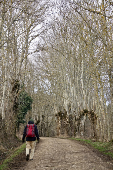 Chemin...