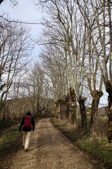 Chemin...
