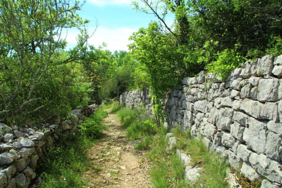 chemin