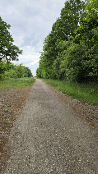 Chemin