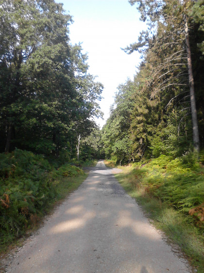 Chemin