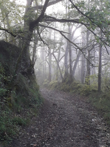 Chemin