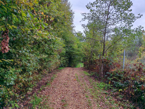 Chemin