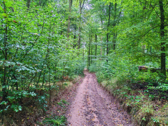 Chemin