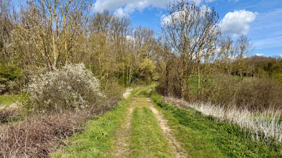 Chemin