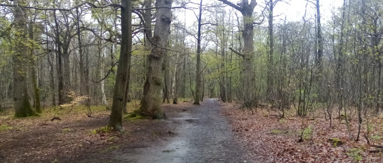 Chemin