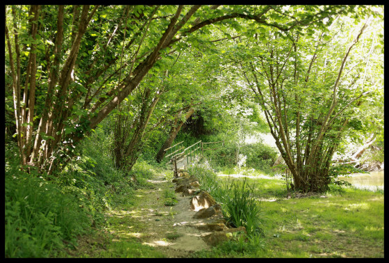Chemin