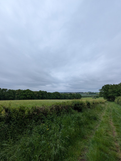 chemin