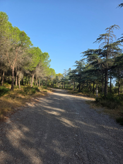 Chemin