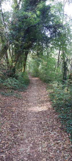Chemin