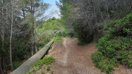Chemin