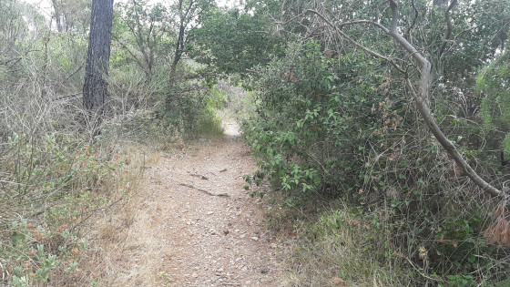 Chemin