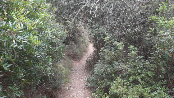 Chemin