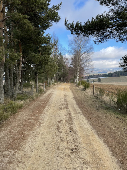 Cheminement à mi -parcours