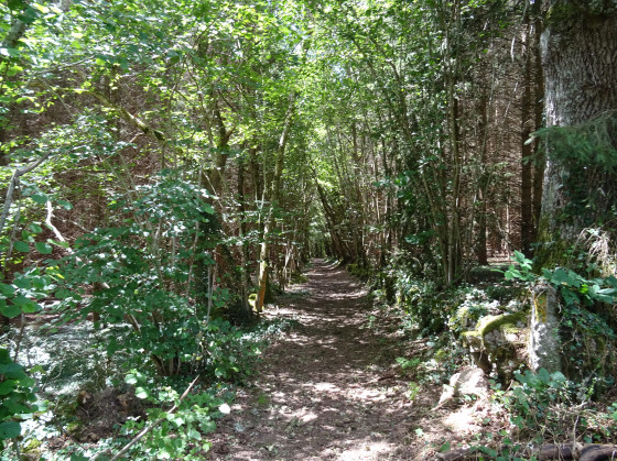 chemins encaiss&eacute;s