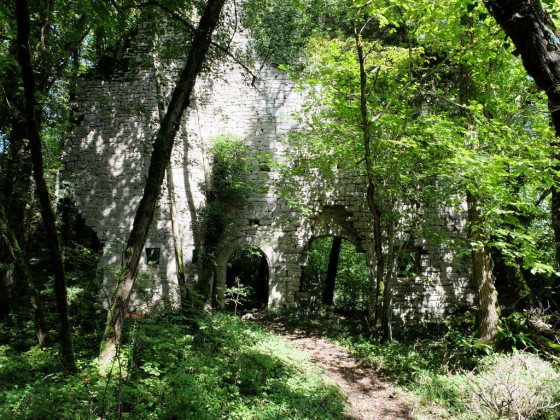 Chenecey : Les ruines du château féodal