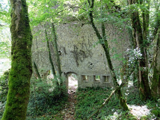 Chenecey : Les ruines du château féodal