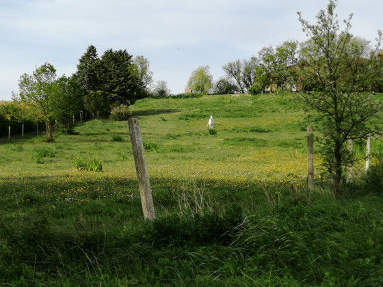 Prairie