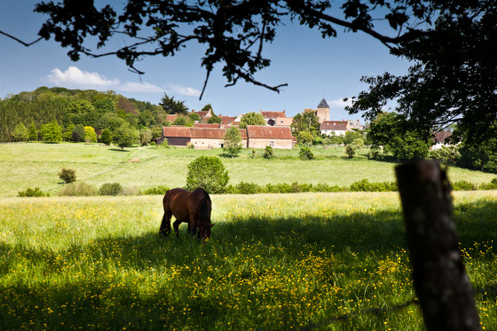 Cheval de Saint-Jean-des-Echelles