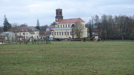 Chevaux et au fond eglise et mairie à La Chapelle Sous Rougemont