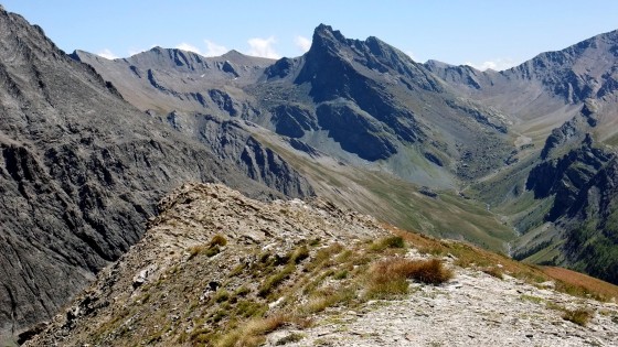 Chez les Sèlènites