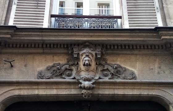 Chiens
