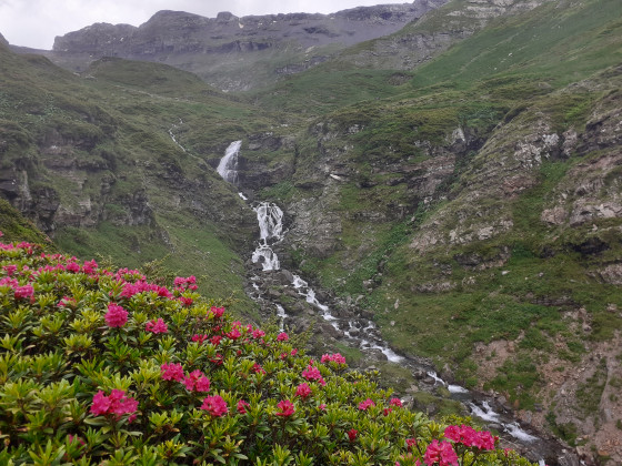 Chute d'eau