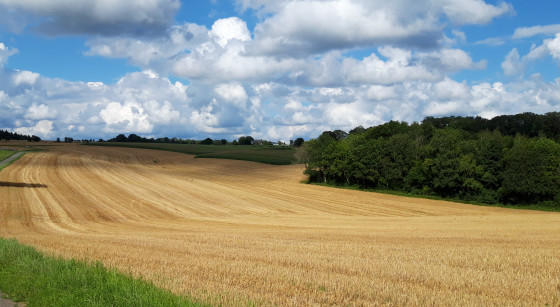 Ciel d'&eacute;t&eacute; apr&egrave;s la moisson