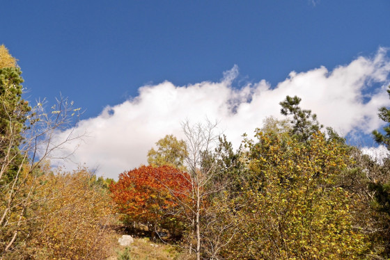 Ciel et couleurs d'automne