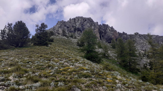 Cime de la Nauque