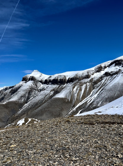 Cime nègre