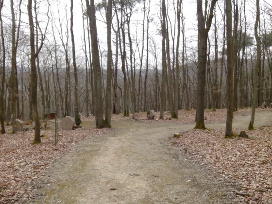 Cimetière forestier