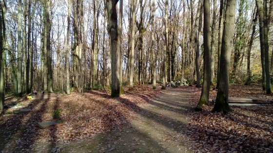 Cimetière forestier