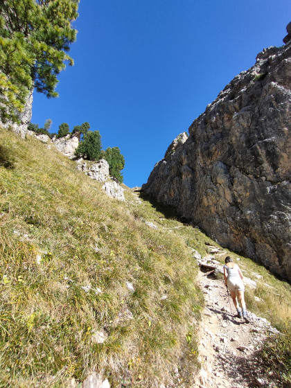 Cinque torre le chemin