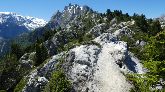 Crête du mont Charvet