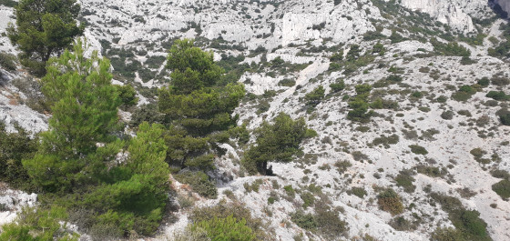 Cirque des Pételins
