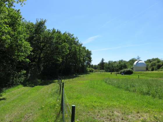 clairière de l\'observatoire