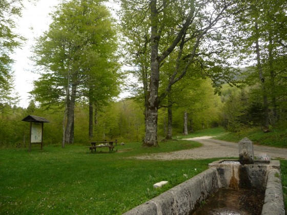 Clairière de Malatra l'été
