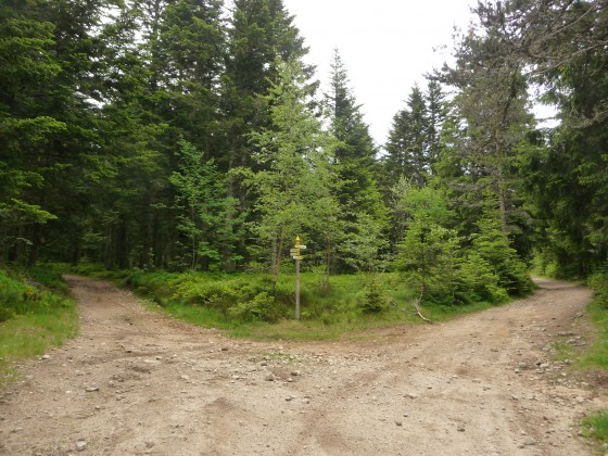 Clairière du Felletin