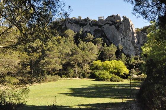 clairi&egrave;re