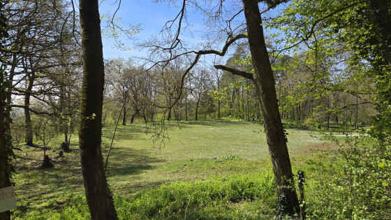 Clairi&egrave;re