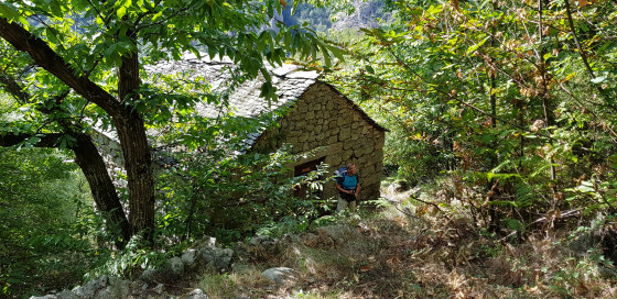 Clède