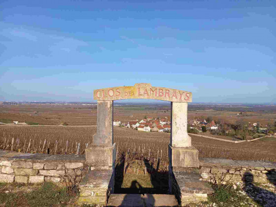 Clos des Lambrays