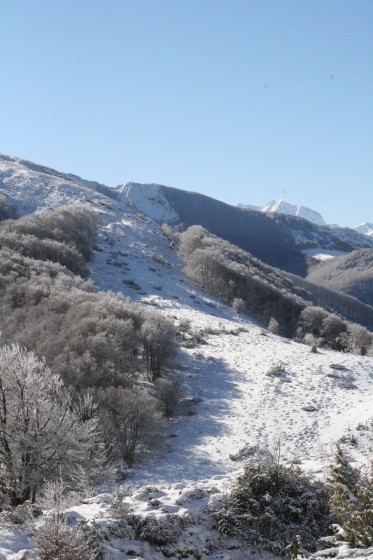 Clot deth Haboub (su rle sentier du Soum de Marti-Peyras)