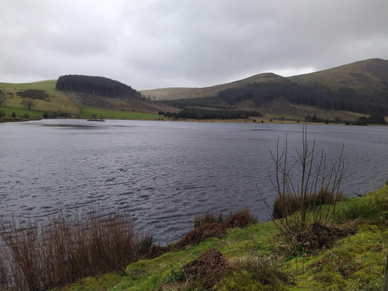 Cogra Moss tarn