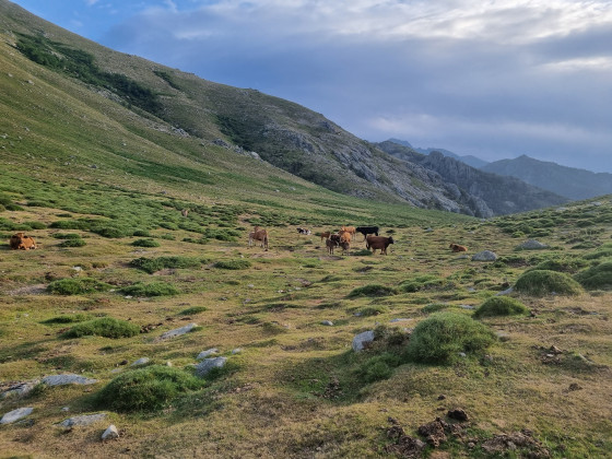 Col Bocca d'Oreccia