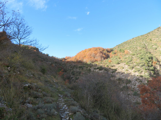 Col d\'Ambellarte