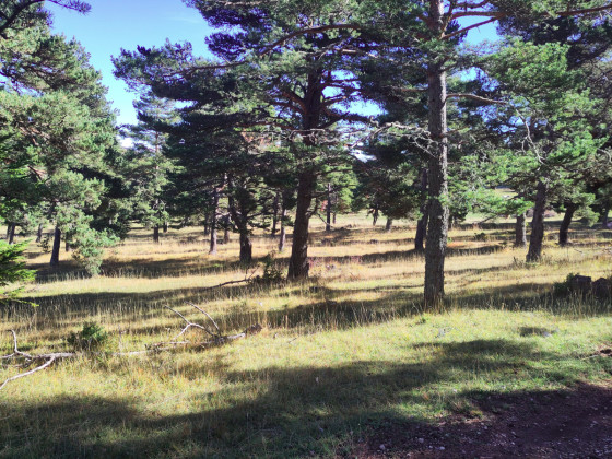 Col d\'Arron